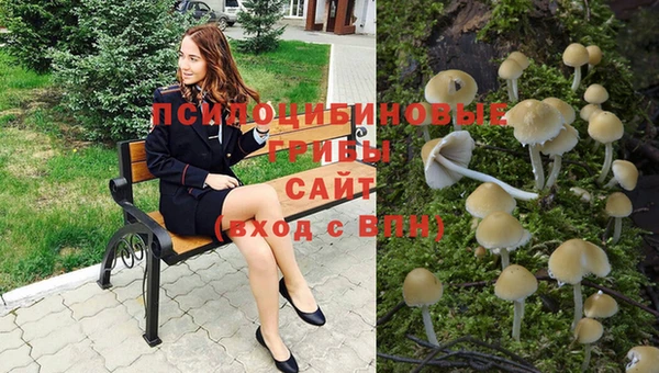 трава Каменногорск