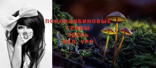 трава Каменногорск